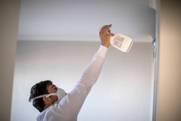 Best Bathroom Mold Remediation in Barnesville, OH